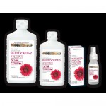 Велтосепт-2, раствор дезинфицирующий 100 мл 1 шт