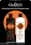 Набор подарочный, Syoss (Сьёсс) 450 мл + 450 мл Репэйр восстановление для поврежденных волос шампунь + бальзам