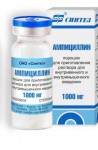 Ампициллин, порошок для приготовления раствора для внутривенного и внутримышечного введения 1 г 50 шт